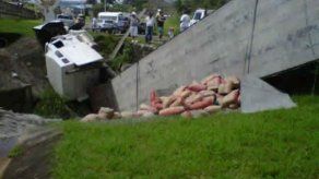 Un camión articulado cargado de cemento se vuelca en La Chorrera
