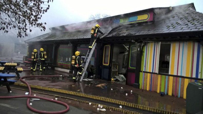 Reabre zoológico de Londres tras incendio
