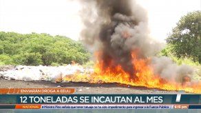 Droga incautada en Panamá será incinerada en EE. UU.