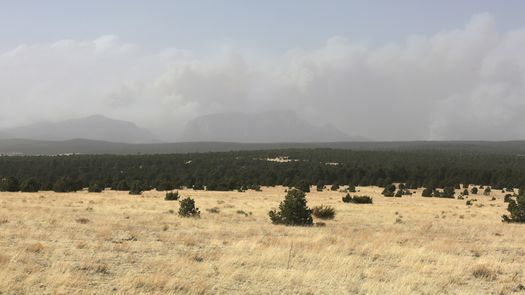 Unos 1,000 bomberos están combatiendo incendios en todo Nuevo México.