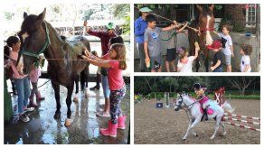 Pony Club Metropolitano
