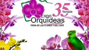 Chiriquí, Boquete: Expo Orquídea inicia este jueves