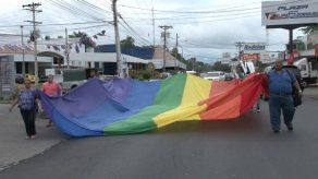 Ministro Fábrega presenta proyecto que deroga prohibición de matrimonio gay