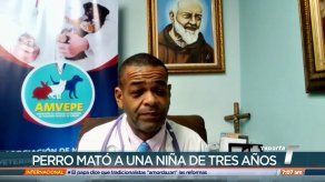 Veterinario da recomendaciones sobre el manejo y cuidado de las mascotas