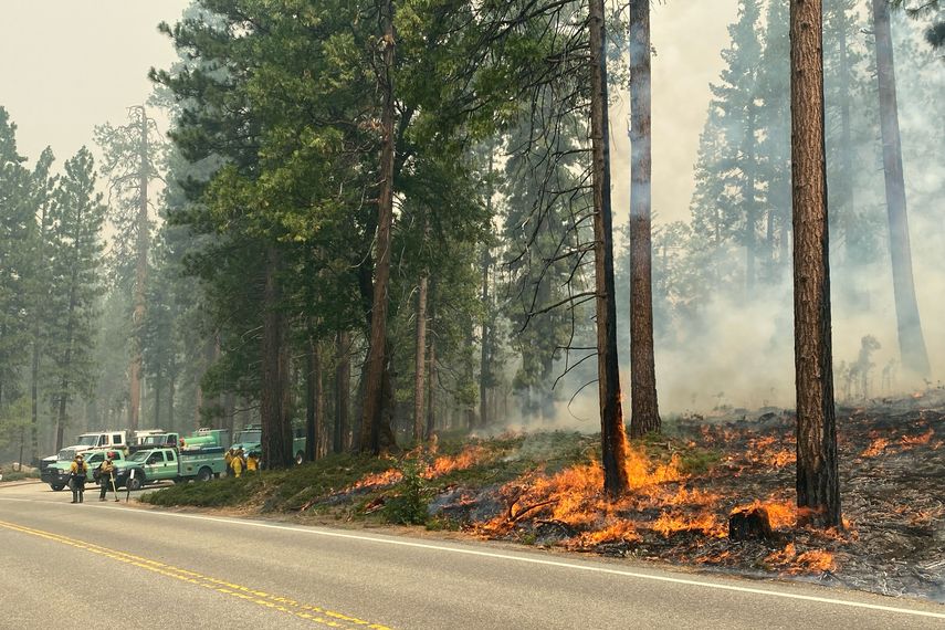 El área en la zona sur de Yosemite fue cerrada a los visitantes