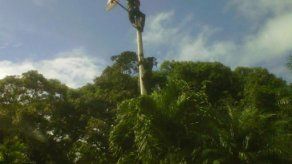 Movimiento epudia decisión del Presidente por gesta del 9 de enero