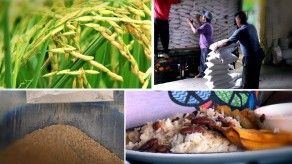 La ruta del arroz