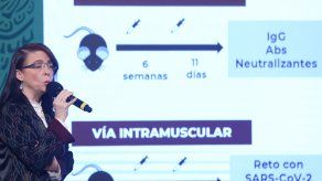 La directora general del Consejo Nacional de Ciencia y Tecnología (Conacyt), María Elena Álvarez-Buylla, habla sobre la futura vacuna de México.