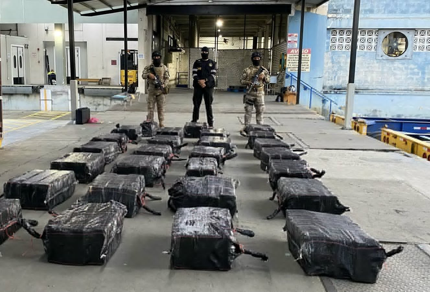 Decomisan más de 800 paquetes de presunta droga