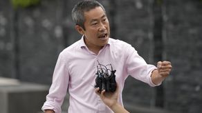 Los adoptados quieren que el gobierno investigue todas estas presuntas irregularidades durante sus adopciones, incluida la forma en que las agencias de adopción habrían falsificado documentos.