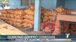 Avanza pago a cebolleros afectados por lluvias en Natá