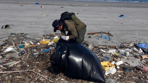 MiAmbiente recolecta 1,600 kilos de basura MiAmbiente recolecta 1,600 kilos de basura