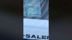 Carolina del Norte: Retiran mono de peluche de auto policial