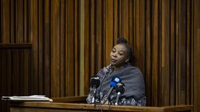 Gran parte del juicio de Rosemary Ndlovu se retransmitió en directo en Sudáfrica, donde los detalle truculentos dejaron estupefactos a este país, donde sin embargo se registran récords de criminalidad.