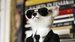 Steiff producirá osito de peluche vestido como Lagerfeld