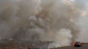 Gente trata de ayudar a la Amazonia desde sus computadoras