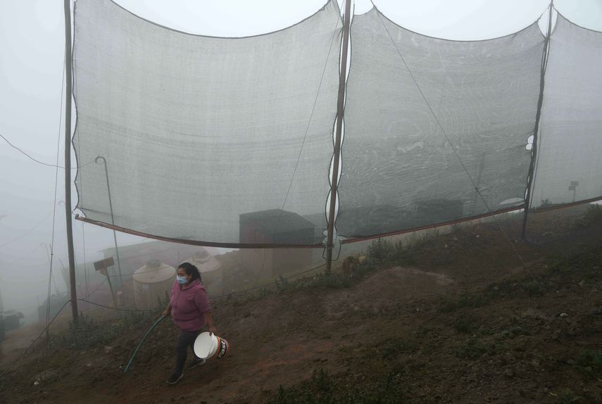 Niebla, bendición y maldición para miles sin agua en Lima