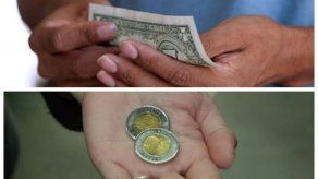 MEF: Circulación de billetes y monedas de un dólar continúa de manera habitual