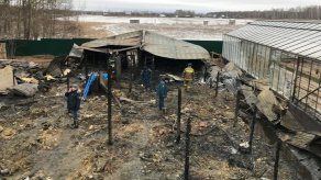 8 vietnamitas muertos en incendio en invernadero en Rusia