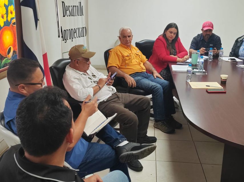 MIDA conforma comisiones para evaluar daños al sector productivo tras intensas lluvias MIDA conforma comisiones para evaluar daños al sector productivo tras intensas lluvias