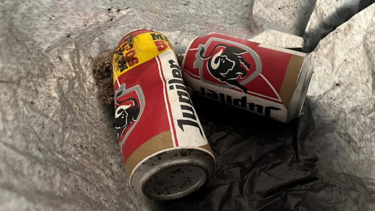 Hombre tira a la basura una obra de arte de latas de cerveza al confundirla con residuos