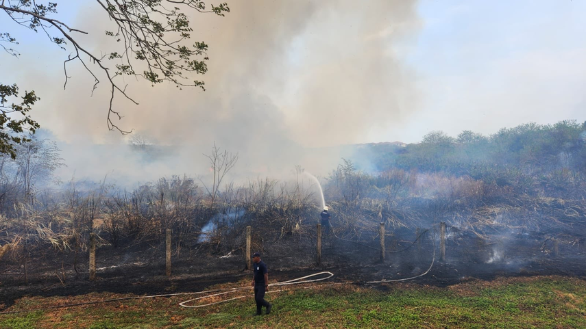 Se registra incendio de masa vegetal que se extiende desde Ciudad Radial hasta Don Bosco.