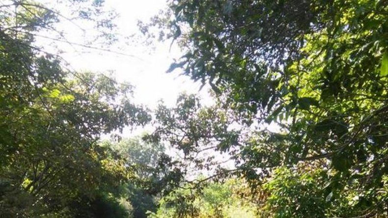 Camión con tanques de gas se incendia en Herrera, dos heridos