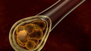 Reino Unido primer país en legalizar hijos con ADN de 3 progenitores