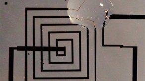 Crean electrónicos solubles en el organismo