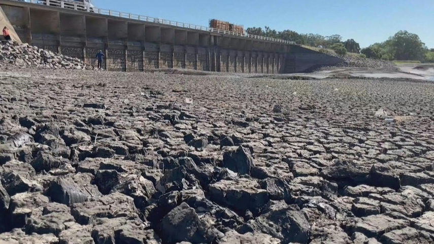 ¡Alerta por sequía! Las reservas de agua dulce se están agotando en Uruguay