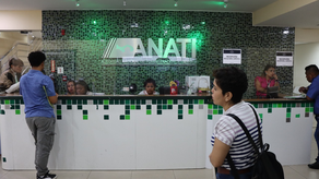 ANATI declara zona de titulación masiva