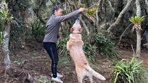 La ayuda de una mascota en confinamiento por el Covid-19