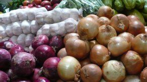 Denuncian merma de cebolla en Chiriquí