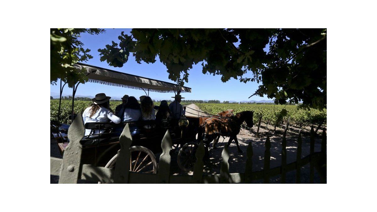 Mundo del vino chileno se abre al turismo