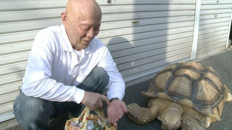 La insólita historia de la tortuga y el sepulturero japonés
