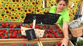 Brote de hepatitis A en EEUU vinculado a fresas egipcias