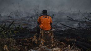 Enormes incendios consumen el bosque tropical de Indonesia