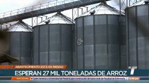 Molineros rechazan cierres de calles y protestas pautadas para este miércoles Molineros rechazan cierres de calles y protestas pautadas para este miércoles