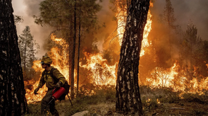 IMHPA advierte sobre riesgos de incendios en el país