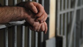 Entre los detenidos, hay 246 hombres y 15 mujeres.