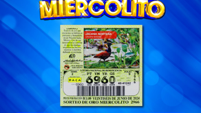 Lotería Nacional de Panamá Online y TV: dónde ver el sorteo de hoy