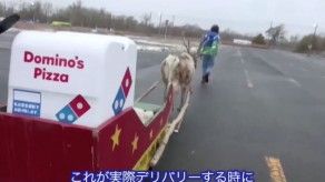 Renos, los nuevos repartidores de pizzas en Japón