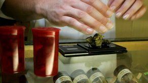 Gobierno británico anuncia legalización del cannabis terapéutico