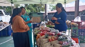Agroferias del IMA.