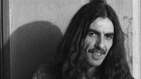 Escarabajos devoran árbol tributo a George Harrison