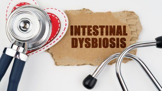 Salud intestinal es clave para reforzar sistema inmunológico, dicen expertos