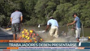 Contratos del sector primario suspendidos deben ser reactivados a partir de hoy