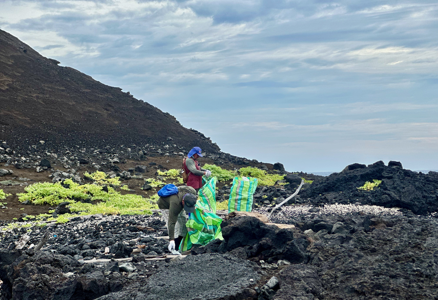 Recolección de basura