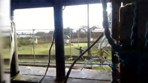 Abogado fue testigo de la reyerta en La Joyita