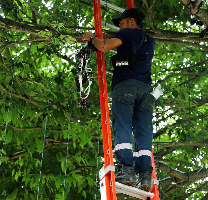 Alcaldía de Panamá
